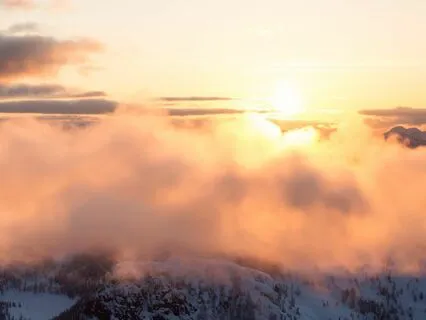 I Made The Right Choice