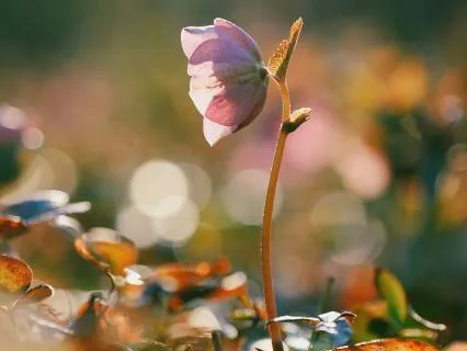 I'mpossible (Stop, Drop And Feel Edition)