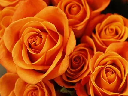 I Need Help - Healing Support To Receive What You Never Got