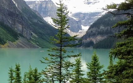 I Need You , A Song/Prayer To God