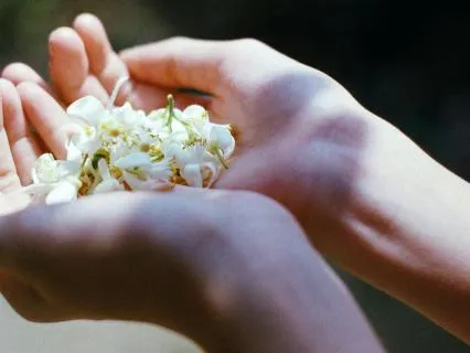 I Open My Hands And Receive Love | A Space For Forgiveness