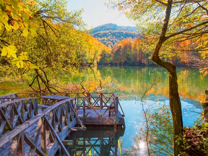 I Practice Deep Listening - Day 20