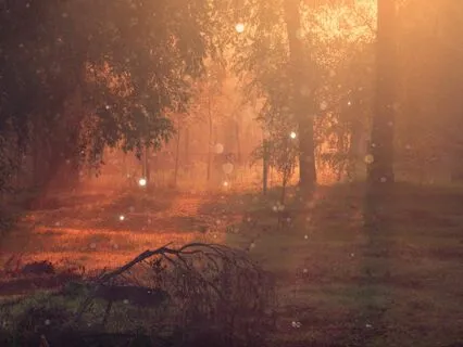 I Release ~ A Spiritual Prayer