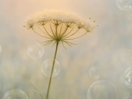 I Release What Doesn’t Belong To Me ·  Unconditional Love S.