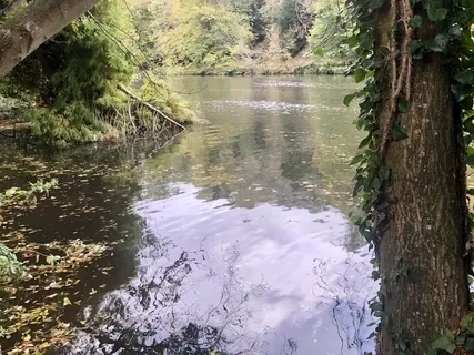 I Release You, An Instrumental With Piano And Cello