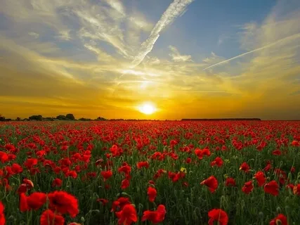 A Course In Miracles: I Rest In God