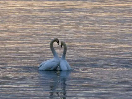 I Return To Love