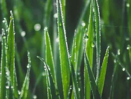 Something Amazing Is Going To Happen To Me Today