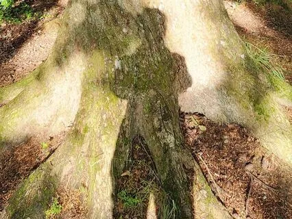 I See Me: A Micro-Practice For Self-Compassion