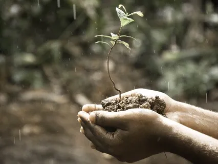 I See You, I Hear You, I Feel You, I Love You Meditation