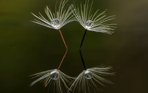 I See You: Meditation & Affirmations