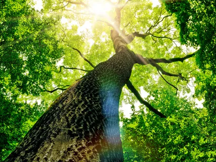 I Seek Calm And Clarity - Day 10