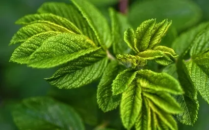 I Spent Years Misunderstanding Feelings