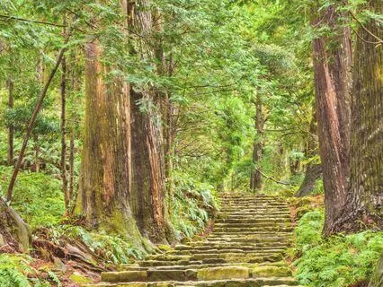 I Stand For The Sacred