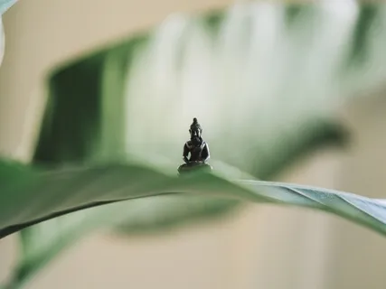 I Stand In My Own Power