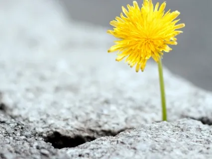 I Take My Power Back EFT Tapping Meditation