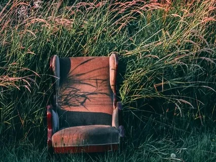 I Taknemmelighed: Morgen-Refleksioner