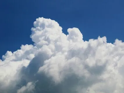 I Trust The Unfolding Of My Life