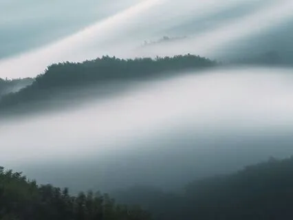 I Trust What Comes Naturally