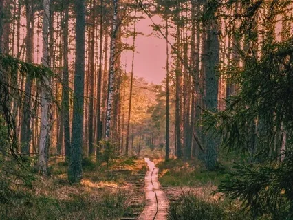 I Trust You, I Support You