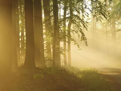 I Walk For ... Your Heart Compass For New Beginnings