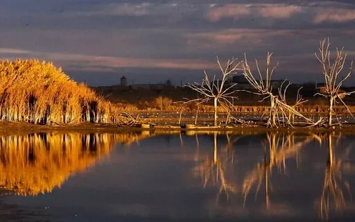 I Want - Jorge Bucay