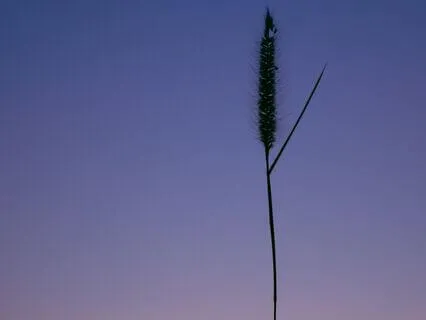 I Want To Break The Fast So Bad