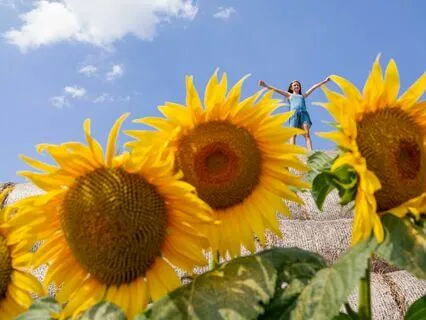 I Want To Know What My Purpose Is - A Musical Affirmation