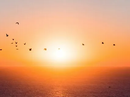 I Watched A Woman Warm Up The World