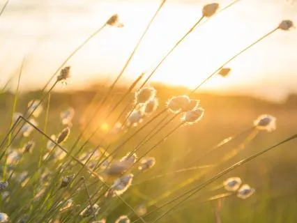 I Welcome Abundance: A Practice For Receiving