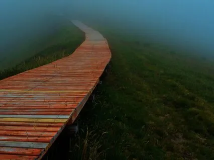 I Welcome What Was Hidden