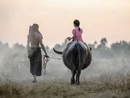 I Will Bring You Home (Trust In Your Life)