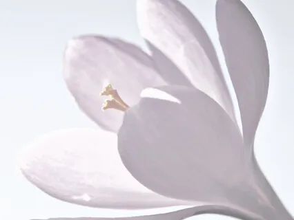 I Will Love You Even After I'm Gone