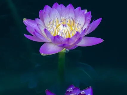 I Wish You All The Best