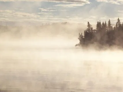 I Woke Up Too Early: A Calming Reset