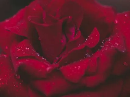 I Won The Genetic Lottery: Affirmations, Subliminal, & Reiki