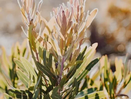 Я Говорю "Дa". Медитация На Каждый День