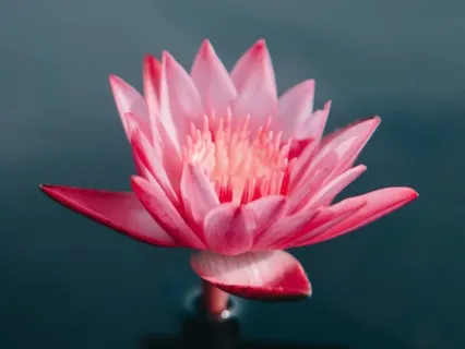 Я есть. Я могу. Я желаю.