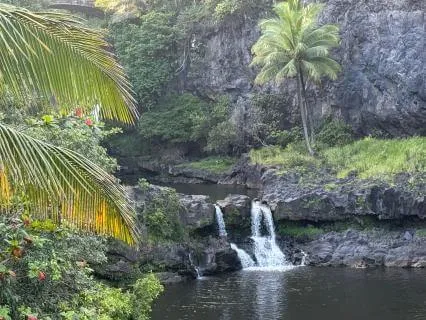 Iao Flow