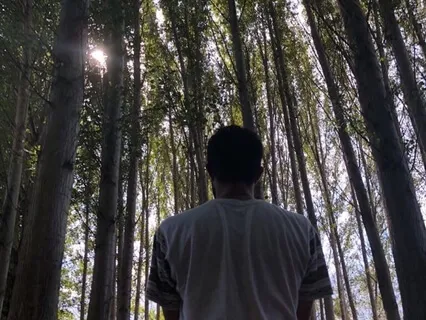 Ícaro Chamánico de Sanación – Sintonizando la Dimensión Para Abrir el Corazón