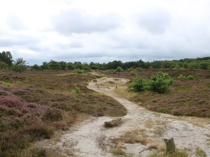Ich vertraue auf meinen Weg