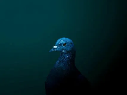 Perfect Music For Sleep And Relaxation