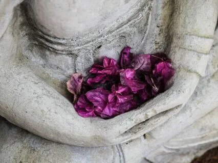 Ideal Parent Figure Practice