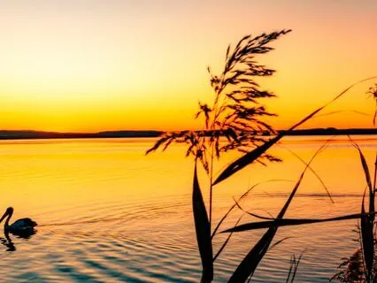 Identifying Authentic Spiritual Teachers