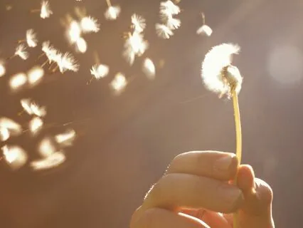 Identifying Self-Judgement And Bringing In Self-Compassions