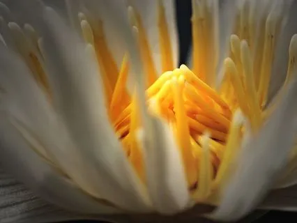 Identitás váltás: Izgatottságból Felébredésbe | 51. Génkulcs