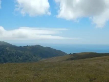 Identity Is A Place We Go To