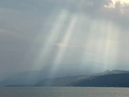 Identity Reclamation