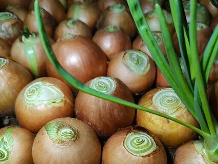 Identity - Who Am I?