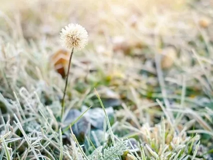 Енергетичне ресурсне дихання за 10 хв